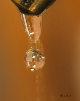 Весь мир капле...