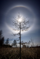 Прикосновение Света