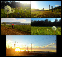 Мобильные моменты №6