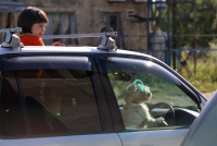 шеф,  два счетчика!