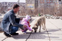 " Гули теперь совсем другие..."