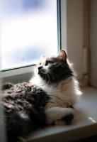 летают тут всякие..