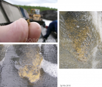 золото колымы