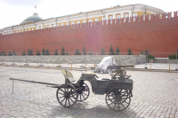 охрана красной площади )