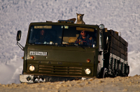 история одного пса...