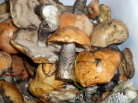 обеденный перерыв с пользой )