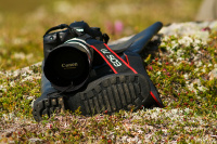 два сапога пара...