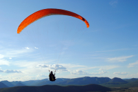 еще одна вега