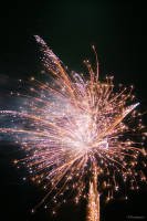 Огненные цветы