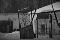 "Олимпийское" спокойствие.