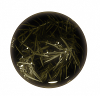 Полынь эстрагонная