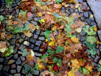 we're singing in the rain