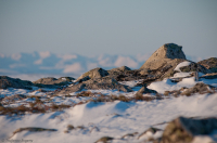 ..дальние и ближние