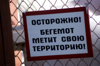 вот так вот )