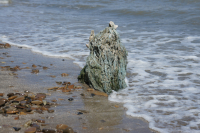 в гостях у сказки