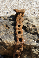 ...Времени Цепь ...