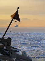 На груди рвану рубаху перед выходом на плаху...