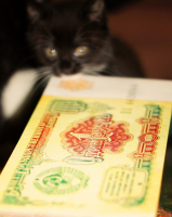 Рубь тысчу бережет