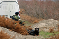 всегда на страже...