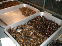 кхмерские разносолы