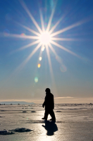 Дорога на восток