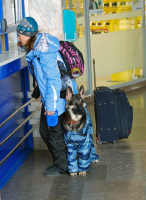 дорожные зарисовки