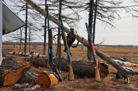 Охота на охоту..