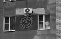 иногда они наблюдают...