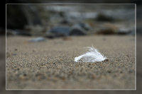 Завороженно стихло все вокруг