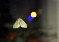 по ту сторону...