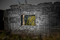 Когда нас не станет..