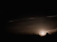 Мрачная бухта