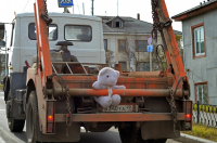 Когда медведь едет зайцем)))