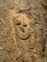 осенний гламур