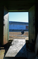 фотоохотник