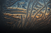 Рисовал МОРОЗ