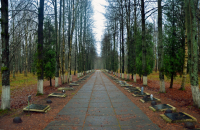 Цена победы...