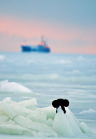 У каждого своя....