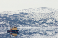 в моей гавани