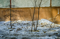 Так и живут.....