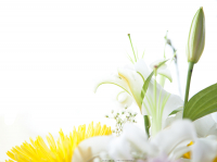 В ожидании торжества...