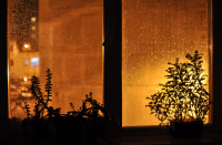 вечернее подоконничное