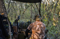 Утро в лесу