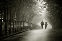 туманный город