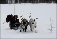 Рабочий транспорт=)