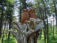 пАПА кАРЛО РЯДОМ НЕ ВАЛЯЛСЯ...