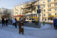 По улицам белка ходила...