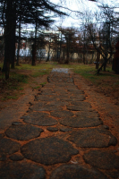 тропинки города М...