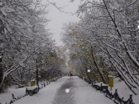 Вспоминаем зиму )