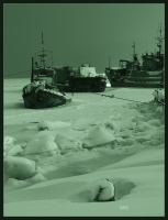 на приколе...